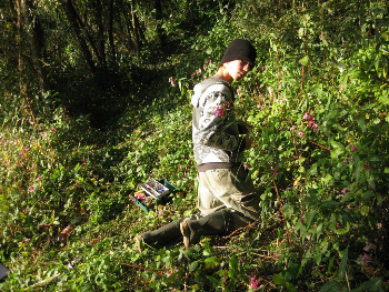 Königsfischer 2013 Bild 2